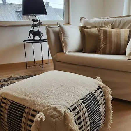 Iso Talo Ja Puutarha Kahdelle Perheelle, River Mosel Holiday Homes Daire *