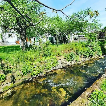 Daire Iso Talo Ja Puutarha Kahdelle Perheelle, River Mosel Holiday Homes
