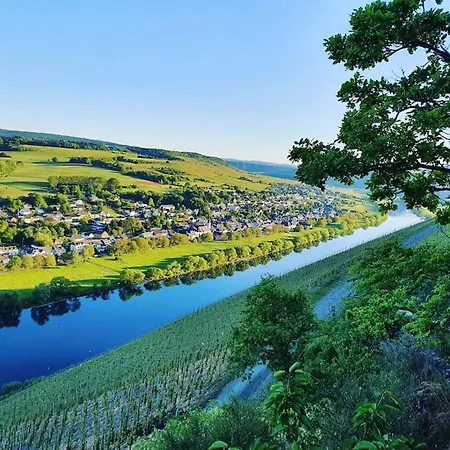 Daire Iso Talo Ja Puutarha Kahdelle Perheelle, River Mosel Holiday Homes