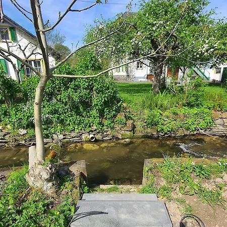 Iso Talo Ja Puutarha Kahdelle Perheelle, River Mosel Holiday Homes Daire