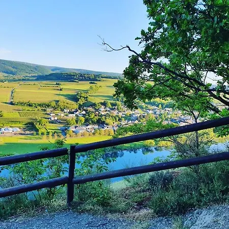 Iso Talo Ja Puutarha Kahdelle Perheelle, River Mosel Holiday Homes Daire *