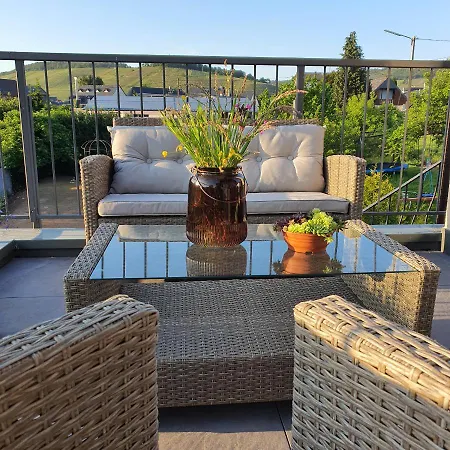 Iso Talo Ja Puutarha Kahdelle Perheelle, River Mosel Holiday Homes